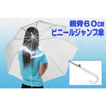 ビニールジャンプ傘 【親骨60cm×3本セット】 ビニールジャンプ傘 【親骨60cm×3本セット】
