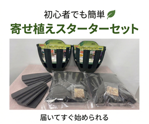 スリットバスケット寄せ植えスターターセット