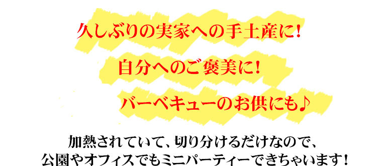 骨付きハム超デカ