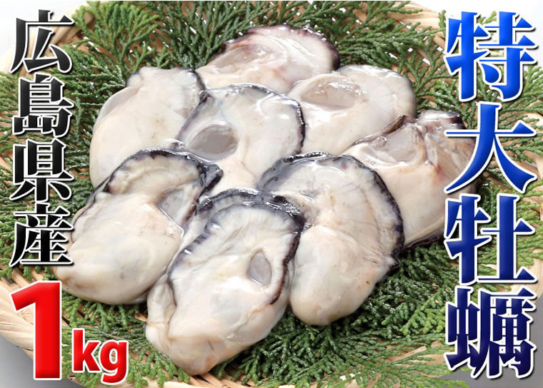 広島県産２Ｌサイズ特大牡蠣（カキ）