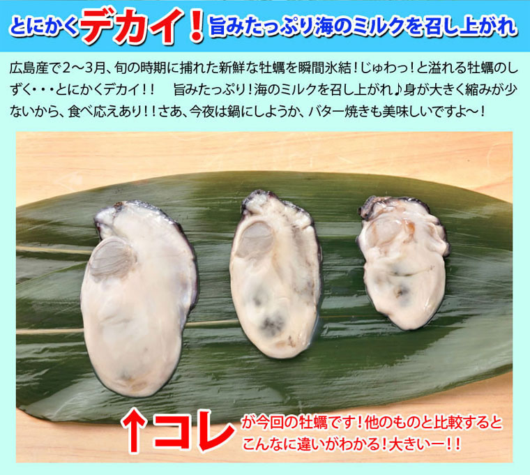 広島県産２Ｌサイズ特大牡蠣（カキ）