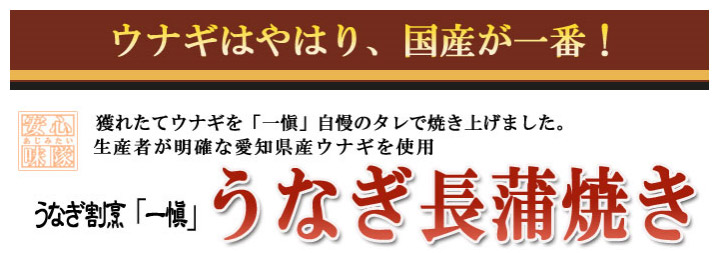 愛知県産特製うなぎ蒲焼
