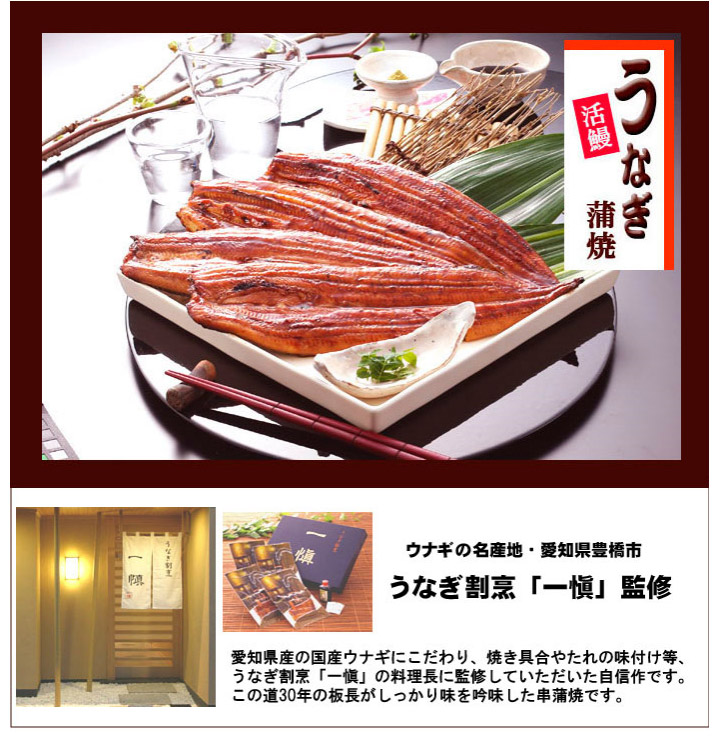 愛知県産特製うなぎ蒲焼