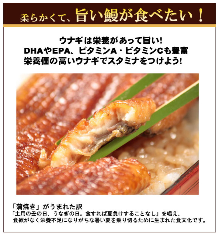 愛知県産特製うなぎ蒲焼
