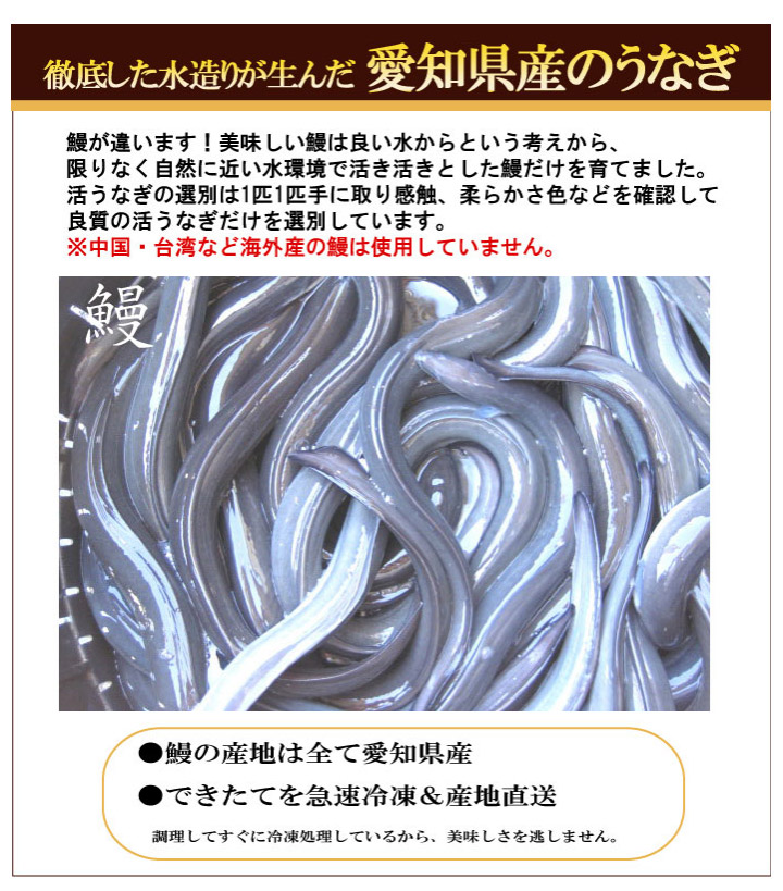 愛知県産特製うなぎ蒲焼