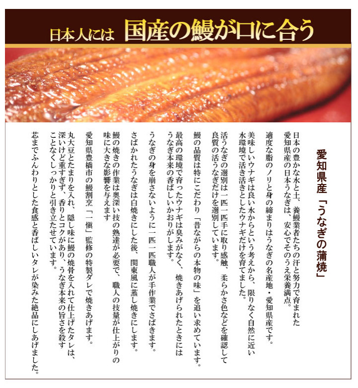 愛知県産特製うなぎ蒲焼