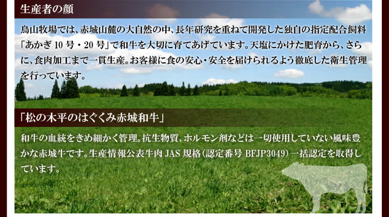 ローストビーフ 500g