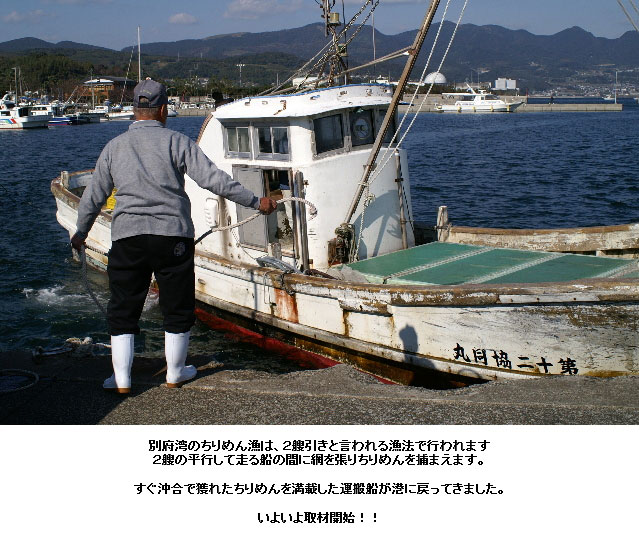 「生ちりめん」極鮮冷凍