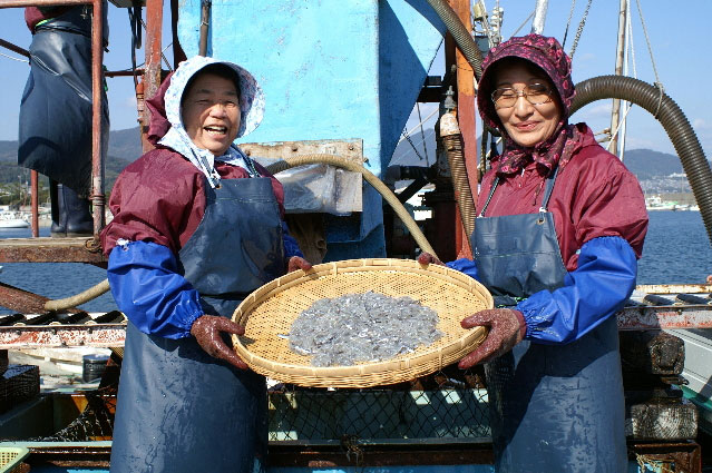 「生ちりめん」極鮮冷凍