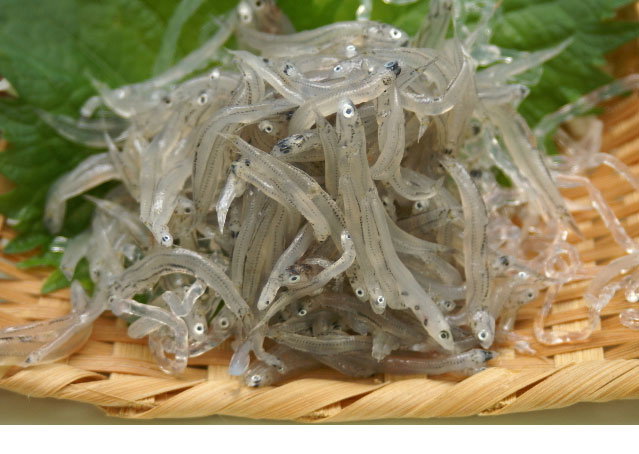 「生ちりめん」極鮮冷凍