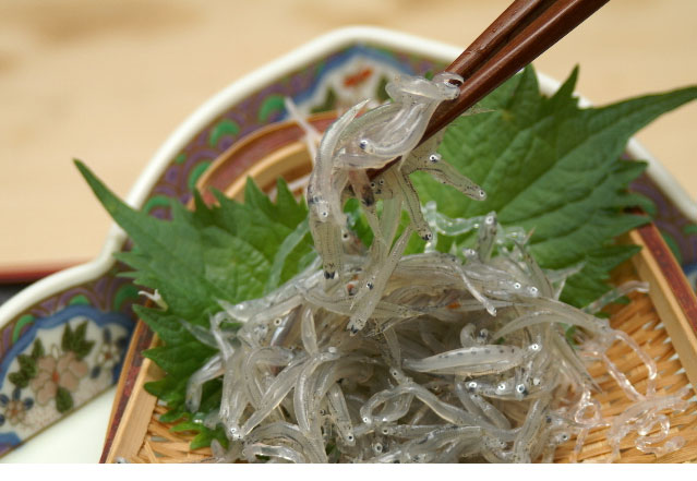 「生ちりめん」極鮮冷凍