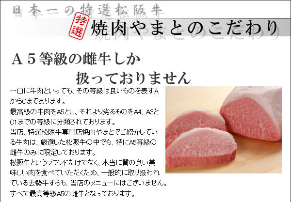 松阪牛サーロインステーキ ギフト