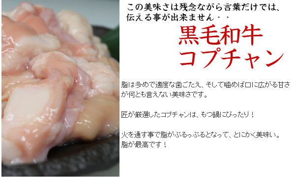 カレーもつ鍋セット