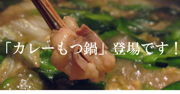 カレーもつ鍋セット