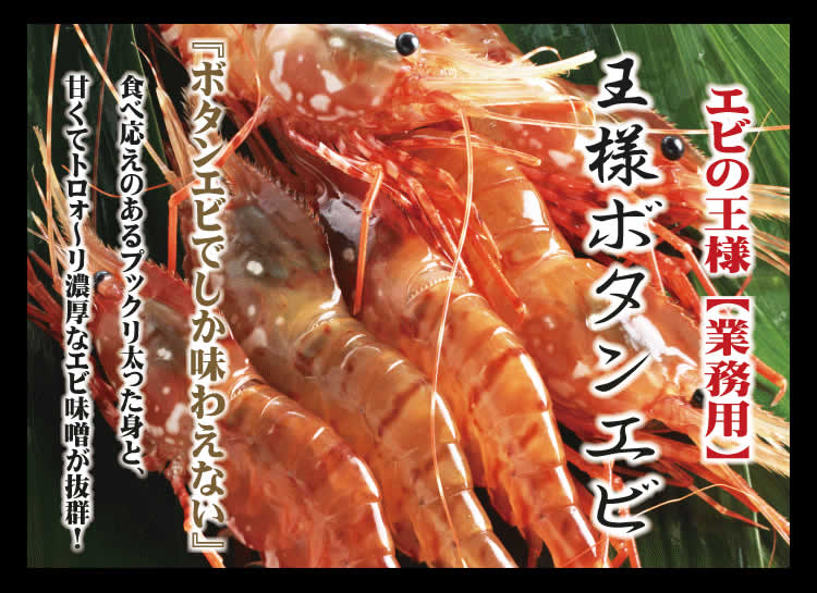 お刺身用 王様ボタンエビ