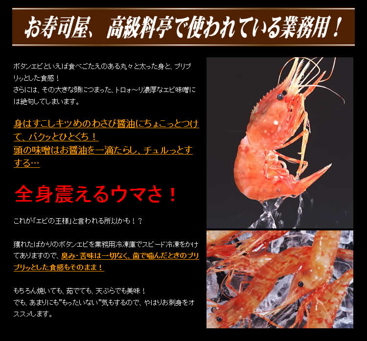 お刺身用 王様ボタンエビ
