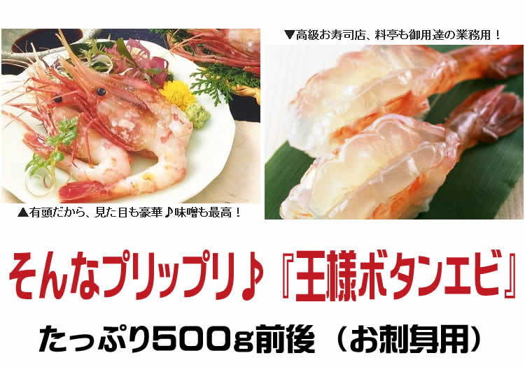 お刺身用 王様ボタンエビ