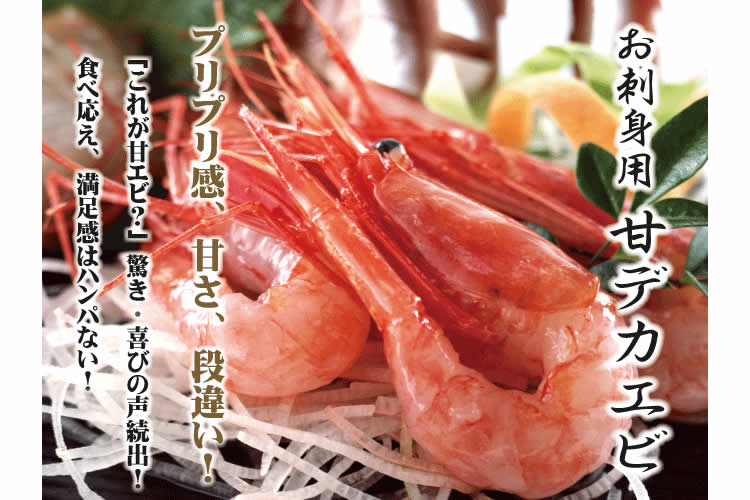 激安お刺身用　甘デカエビ