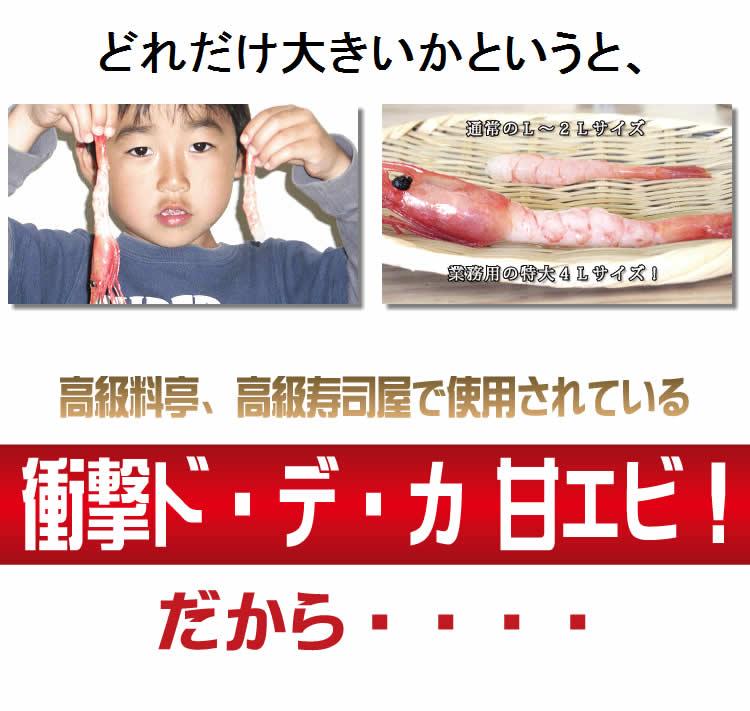 激安お刺身用　甘デカエビ