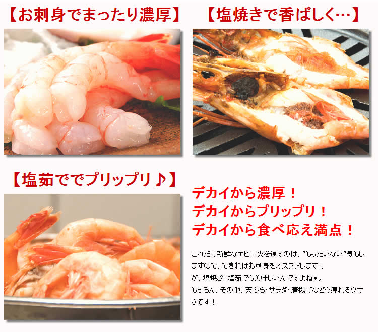 激安お刺身用　甘デカエビ