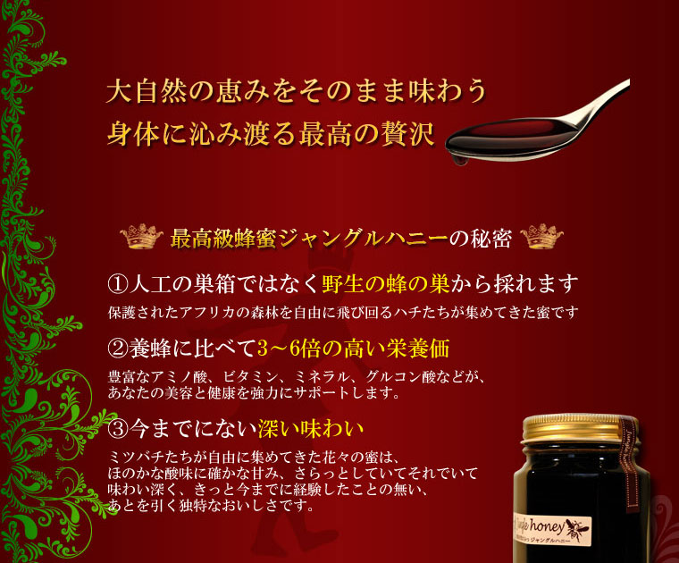 最高峰・100％天然ハチミツ
