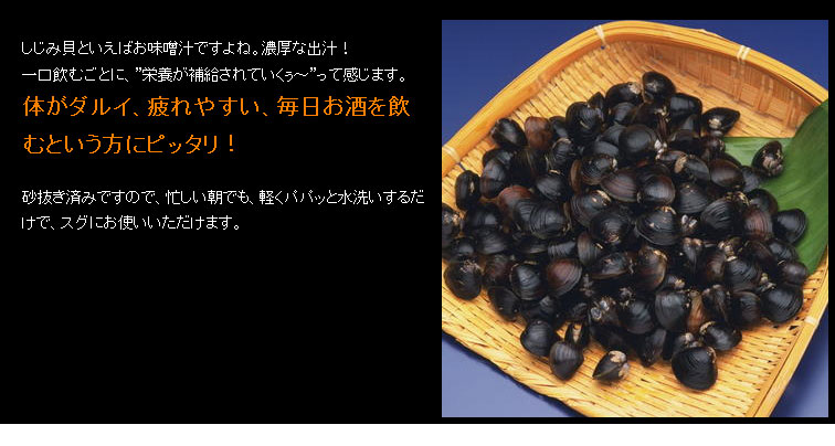 十三湖産 味濃しじみ