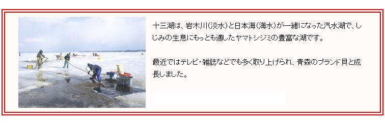 十三湖産 味濃しじみ