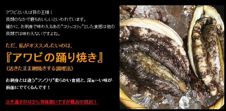 陸奥湾産　真昆布アワビ