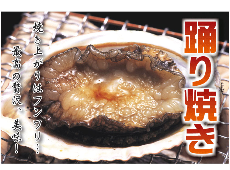 陸奥湾産　真昆布アワビ