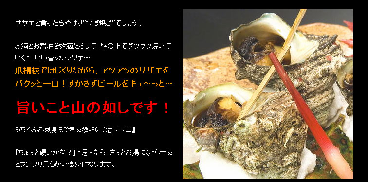 青森県産『白神サザエ』