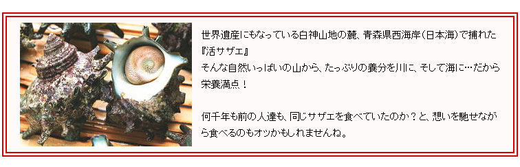 青森県産『白神サザエ』