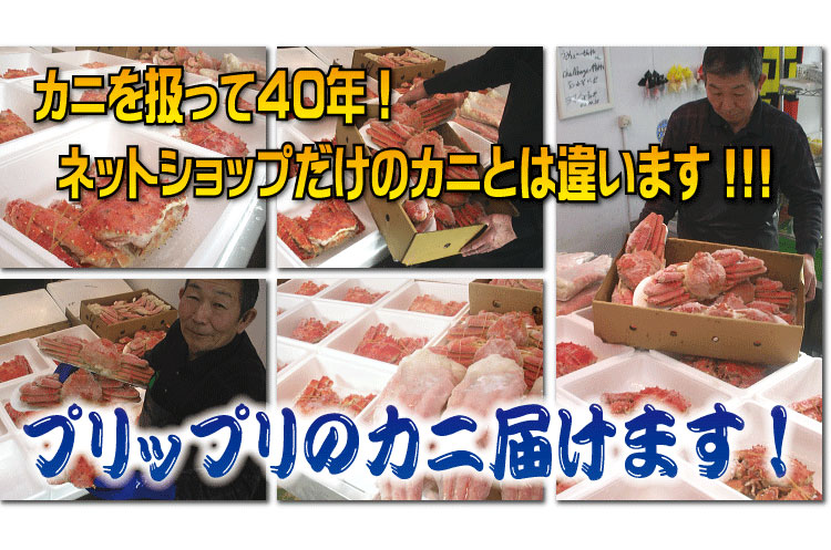 【特大】王様タラバガニ（脚）