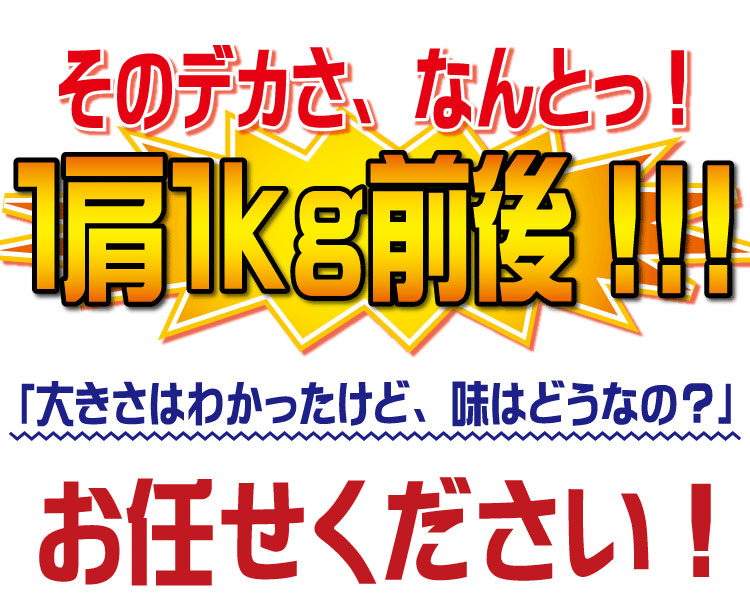 【特大】王様タラバガニ（脚）