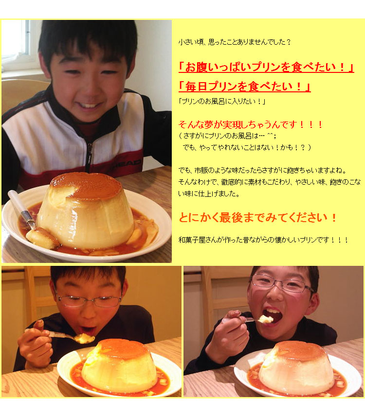 贅沢バケツプリン