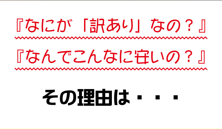 【訳あり】チーズケーキバー