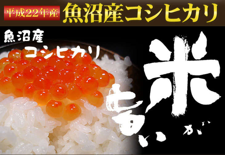 平成22年新米新潟県魚沼産コシヒカリ