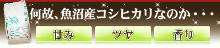 平成22年新米新潟県魚沼産コシヒカリ