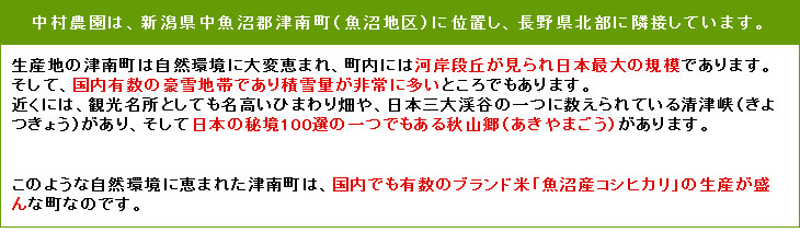 平成22年新米新潟県魚沼産コシヒカリ