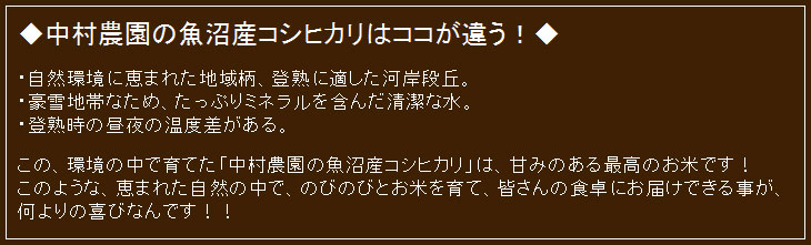 平成22年新米新潟県魚沼産コシヒカリ
