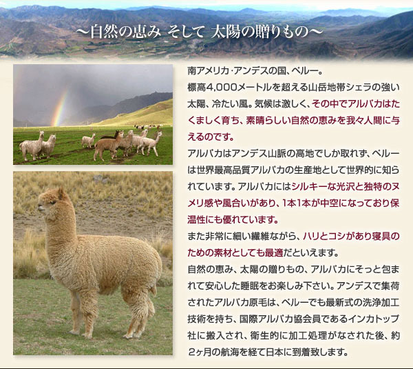 特許立体凹凸ドリームカット