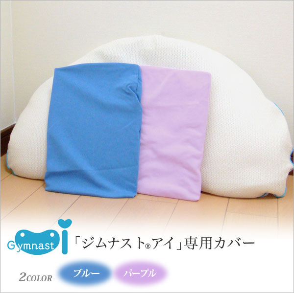 専用カバー