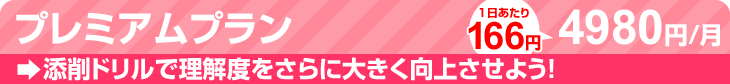プレミアムプラン