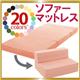 �E20�F�\�t�@�[�}�b�g���X �V���O�� �V���o�[�A�b�V��(�z�c�E�C���e���A�E�\�t�@�j