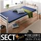 ベッド 高さが選べる宮棚付パイプミドルベッド 【SECT+】 セクト・プラス