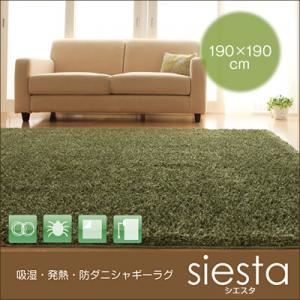 吸湿・発熱・防ダニシャギーラグ【siesta】 シエスタ 190×190cm ブラウン