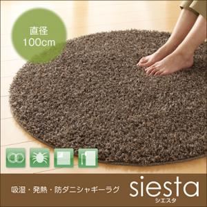 吸湿・発熱・防ダニシャギーラグ【siesta】 シエスタ 直径100cm グリーン