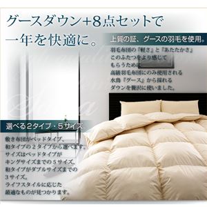 ���{���z�c���{���V���o�[�O�[�X�_�E��:���C�����S�[���h���x���H�ѕz�c8�_�Z�b�g�ySolea�z�\���A �a�^�C�v:�V���O�� (�J���[�F�A�C�{���[) 