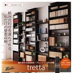 組み合わせ自由自在！アレンジつっぱり本棚【tretta】トレッタ オプション扉W45cm用 ダークブラウン