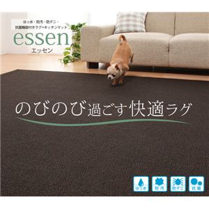 はっ水・防汚・防ダニ・抗菌機能付きラグ 【essen】 エッセン 130×190cm ダークブラウン