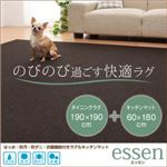 はっ水・防汚・防ダニ・抗菌機能付きラグ＆キッチンマット 【essen】 エッセン 190×190cm+60×180cm ダークブラウン